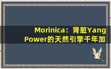 Morinica：肾脏Yang  Power的天然引擎千年加长智慧的科学解释